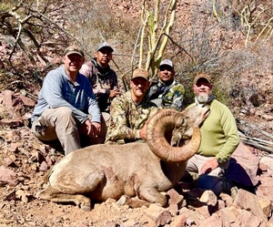 Desert Sheep Hunt in Sonora Mexico.